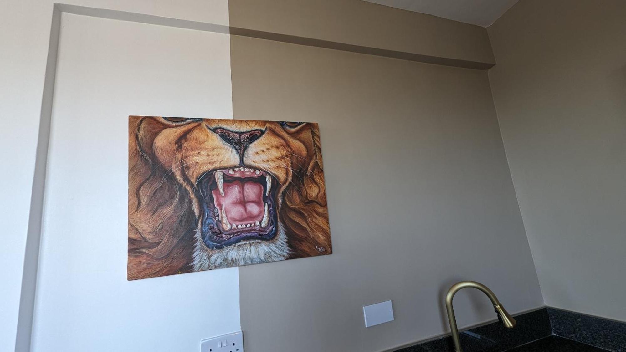 Mufasa City Hostel And Apartments Arusha Room photo